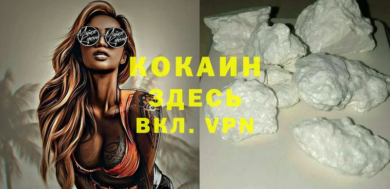 Cocaine Эквадор  где продают   Заводоуковск 